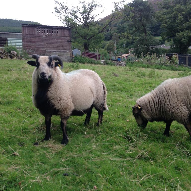 Penybryn Cottages Aberdare Zewnętrze zdjęcie
